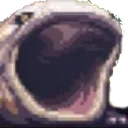 FrogChamp