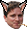 :Keepo: Discord Emote