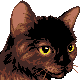 zeldacat