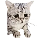 Sad