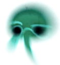 wokester