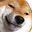 dogeSmug