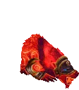 beardance1