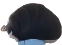ggxobese