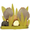 peekingyeen