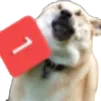 ping