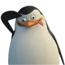 penguinIdiotSalute