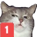 catping