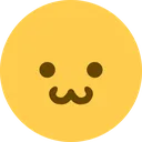 catface