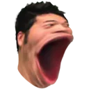 POGGORS