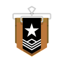 bronze Discord emoji