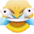 hu hu