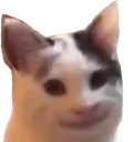 SmirkingCat SmirkingCat