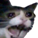 crying2