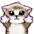 Kittyhug kittyhug Discord Emoji