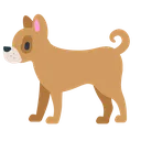 FullDog1 FullDog1