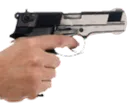 gun gun