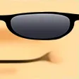 simR simR