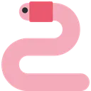 worm