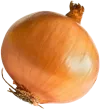 onion onion