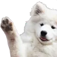 waveboyel