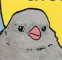 smugpigeon Discord emoji