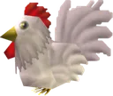 cucco