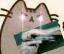 CattoGun CattoGun