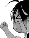 fightruka