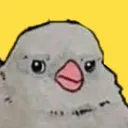 interruptedbird