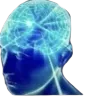 bigbrain