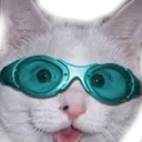 spitu