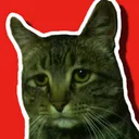 sadcat Discord Emoji