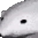 reversepolar