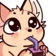 fennSIP