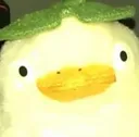 duckChemp duckChemp