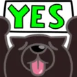jerYes