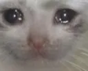 ultrasad ultrasad