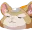 HammondTired