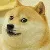 seizuredoge