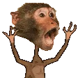 at1Chimp