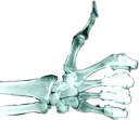 skelethumbsup