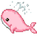 WhaleCum