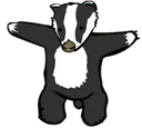 badger