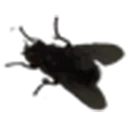 Unbenannt1 Unbenannt1