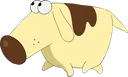 diogee