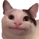 PoliteCat