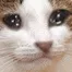SadKat