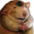 tDogRat