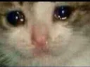 cri